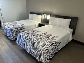Red Roof Inn Wildwood, FL - The Villages - Room