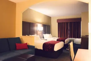 Comfort Suites Bush Intercontinental Airport - Chambre