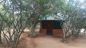 Yala Wild House - Chambre