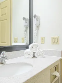 Baymont by Wyndham Houston Brookhollow - Bathroom
