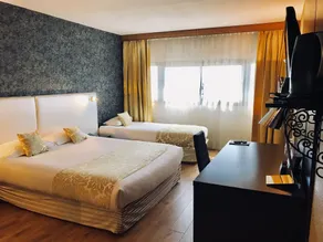 Holiday Inn Nimes Petite Camargue - Chambre