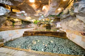 Dongpo Ti Lun Hotel - Pool