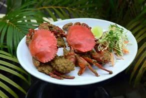 Athome Comforts Panjim Donapaula - Restaurant