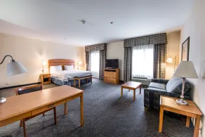 Hampton Inn Dallas-Rockwall - Chambre