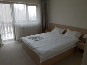 Pensiunea Arido - Chambre