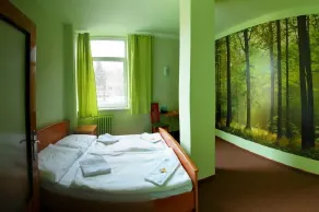 Hotel Liberec - Chambre