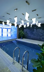 Cabir Deluxe Hotel Sapanca - Piscine