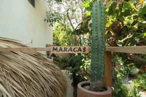 Casa Mariposa Beach Hotel - Habitación