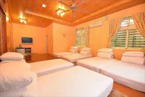 Sitou Peach Villa B&B - Chambre