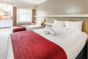 Wanderlight Motor Inn - Room