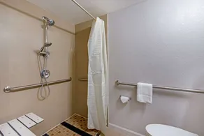 Rodeway Inn Clermont North - Badeværelse