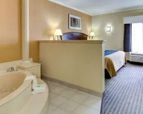 Comfort Inn Corsicana East - Chambre