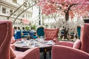 Waldorf Astoria Washington DC - Restaurant