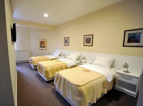 ZP Hotel - Room