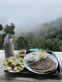 Ananta Prana - Restaurant