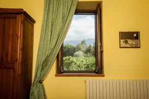 L'Antica Vigna - View from room