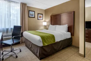Comfort Inn Edison - New Brunswick - Chambre