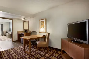 Embassy Suites by Hilton Dallas DFW Airport South - Chambre