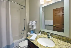 TownePlace Suites Detroit Sterling Heights - Badrum