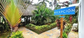 Blue Mango Beach Hotel - Reception