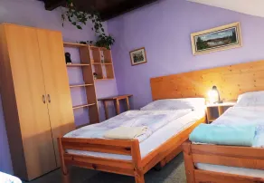 Penzion U Lesa - Habitación