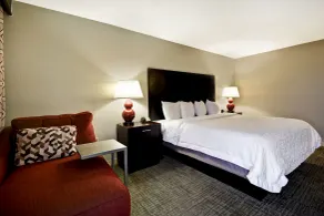 Hampton Inn Starkville Mississippi State University - Chambre