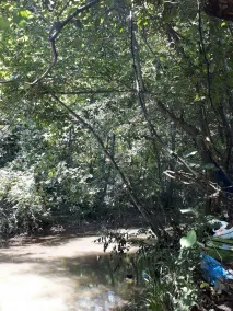 Kirkahvesi Garden - Campsite - Jardines del alojamiento