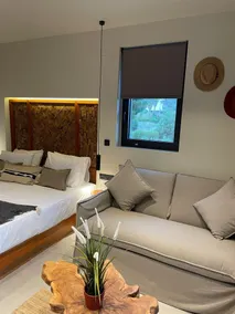 MOLA PAPAYA STUDIOS - Room