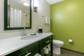Sleep Inn & Suites Columbia I-65 - Salle de bain