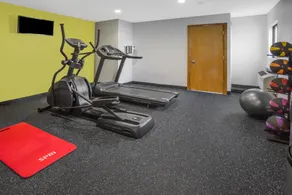 Days Inn by Wyndham Le Roy/Bloomington Southeast - Fitnessfaciliteter