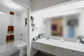 Red Roof Inn Walterboro - Bathroom