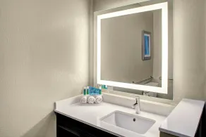 Holiday Inn Express & Suites Coldwater by IHG - Badezimmer