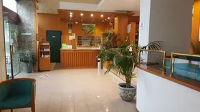 Hotel Cristallo - Reception