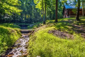 Secluded Cabin w/ On-site Creek + Trails! - Interiør