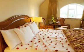 Killarney Avenue - Room