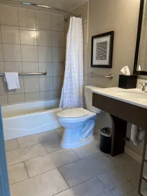 Embassy Suites by Hilton Chicago Schaumburg Woodfield - Salle de bain
