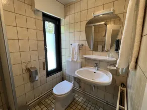 Hôtel Restaurant Lamy - Bathroom