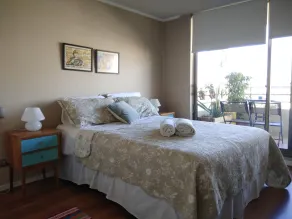 Central Apartment Providencia - Rum