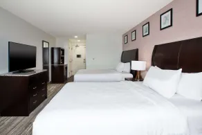 Hilton Garden Inn Benton Harbor/St. Joseph - Chambre