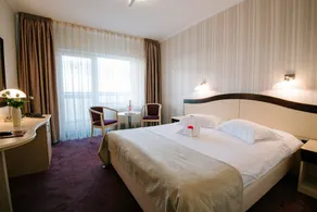 Caprioara Spa&Wellness Resort - Room