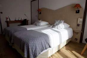 Hôtel L'Iroko, Aix-les-Bains - Chambre
