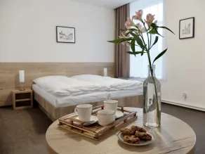 Penzion Stará pošta - Chambre