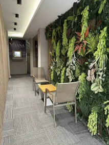 Viyana Premium Pansiyon - Reception