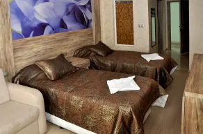 Delfi Hotel & Spa - Room