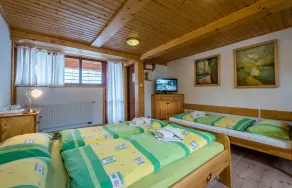 Penzión Michal - Room