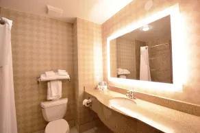 Holiday Inn Express Toledo-Oregon by IHG - Salle de bain