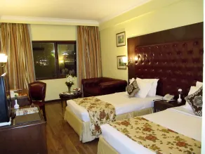 Ritz Plaza - Room