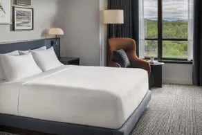 Hyatt Regency Coralville - Chambre
