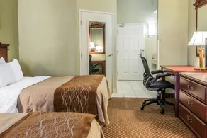 Quality Inn & Suites Ann Arbor Hwy 23 - Zimmer