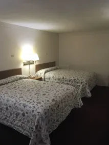 Grapevine Inn - Room